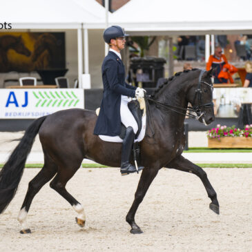 Young Rider Marten Luiten bovenaan in eerste onderdeel