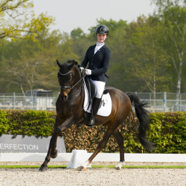 Bondscoach Imke Schellekens-Bartels tevreden over eerste pony-observatie