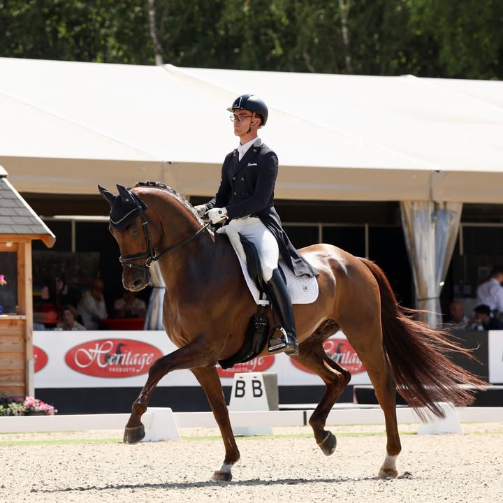 NK Dressuur