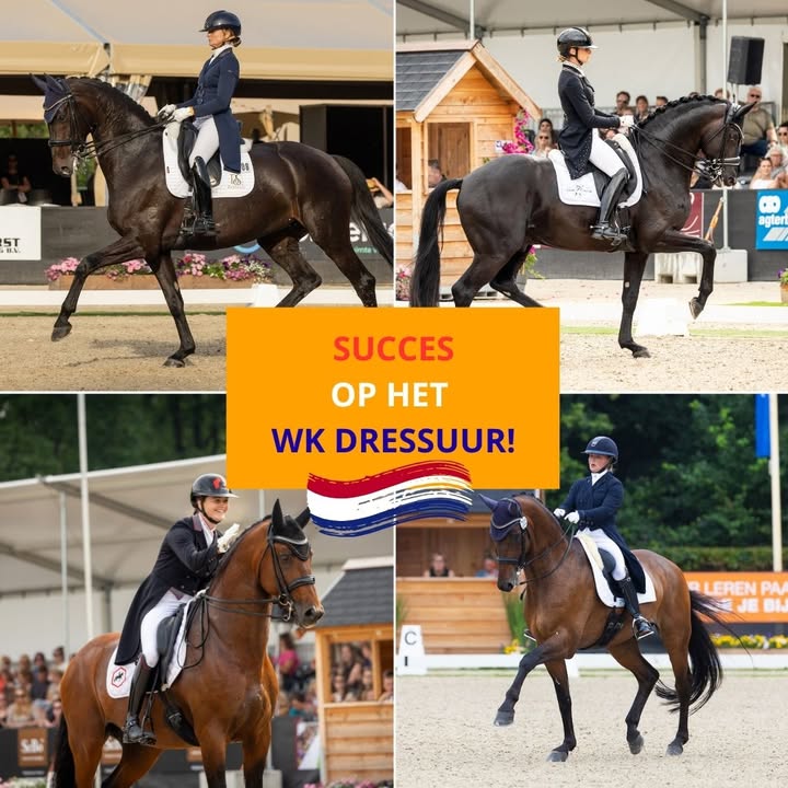 NK Dressuur